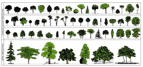Image result for Building Model Trees