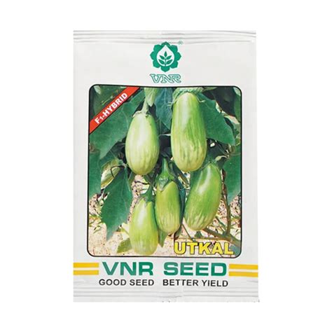 VNR BRINJAL SEEDS – Desikheti