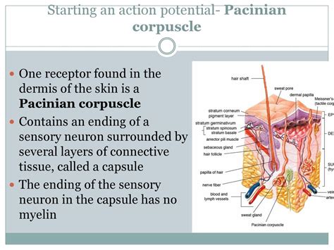 Potential Negative 的图像结果