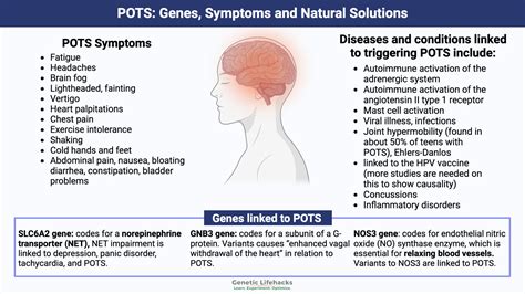 Postural Orthostatic Tachycardia Syndrome (POTS): Genetics, Causes ...