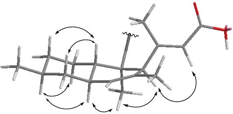 Marine Drugs | Special Issue : Bioactive Compounds from Marine Fungi
