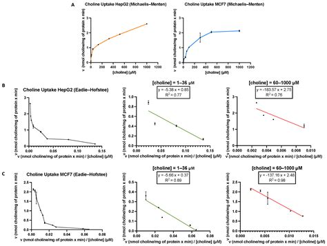 Anticancer Activity of the Choline Kinase Inhibitor PL48 Is Due to ...