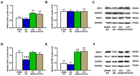 Hydrogen Sulfide Increases the Analgesic Effects of µ- and δ-Opioid ...