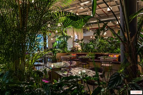 LV Dream, le nouveau Café et Chocolaterie par Maxime Frédéric at Louis ...