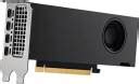 nVIDIA RTX A2000 GDDR6 12 GB NVIDIA Chipset 192 bit 6001 MHz Graphics ...