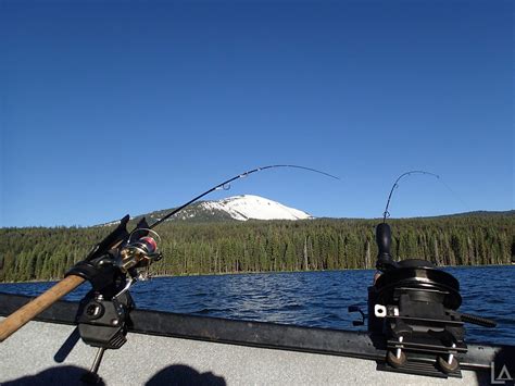 Arkansas Fishing License 2025: How to Buy Online/In-Person