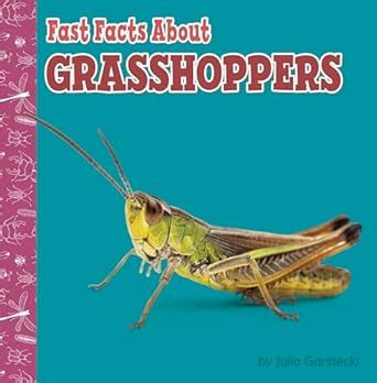 Fast Facts About Grasshoppers : Garstecki, Julia: Amazon.in: Books
