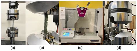 Bio-Inspired Structural Design for Enhanced Crashworthiness of Electric ...