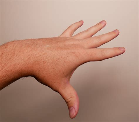 Image result for Hand