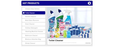 Company Overview - Guangzhou Junkai Cleaning Detergent Ltd.