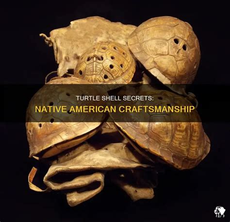Image result for Native American Turtle Shell