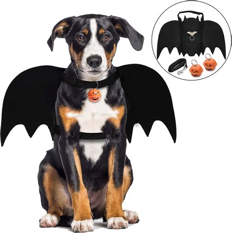 Amazon Dog Bat Costume at Eric Phillips blog