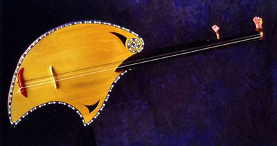 Image result for Odd Stringed Instruments