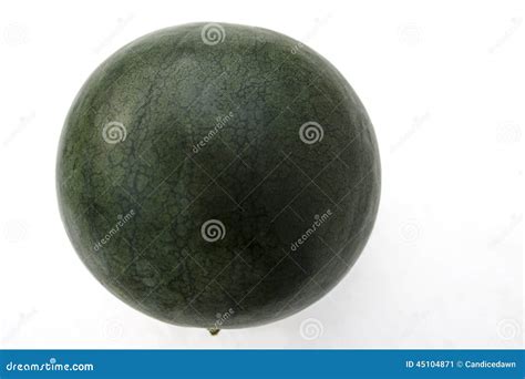 Bush Sugar Baby Watermelon stock image. Image of isolated - 45104871