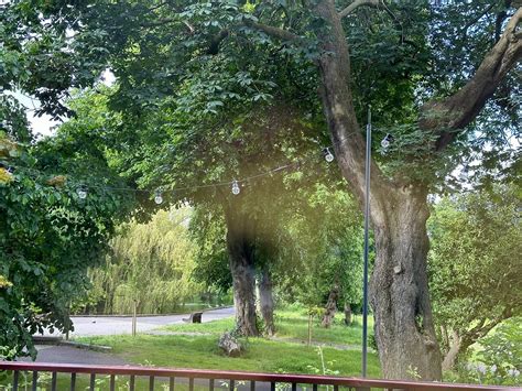 Beautiful, new, clean, lovely staff - Review of Herbert Park Hotel ...