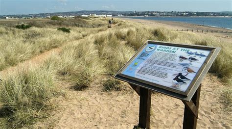 DAWLISH WARREN BEACH (2025) All You Need to Know BEFORE You Go (with ...