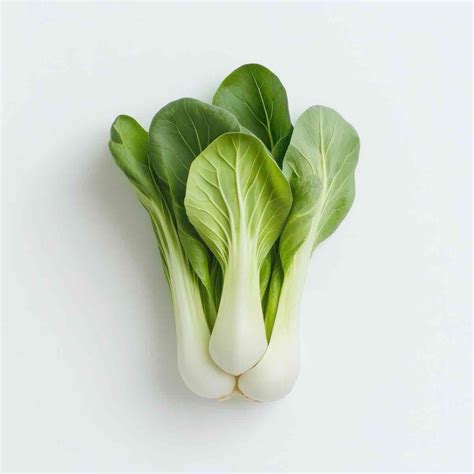Yukon Organics | Organic Bok Choy Baby – Yukon Organics