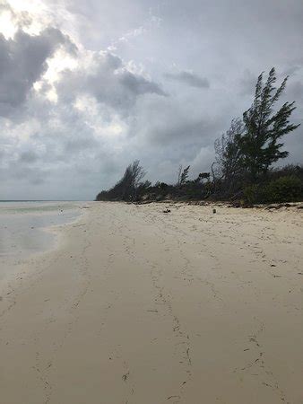 Lucayan National Park (Grand Bahama Island) - 2019 What to Know Before ...