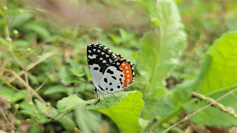 Detox Weekends: Rejuvenating Nature Escapes Near Mumbai | Nature Trails ...