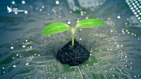 Bachelor of Science in Information Technology | College for Science in ...