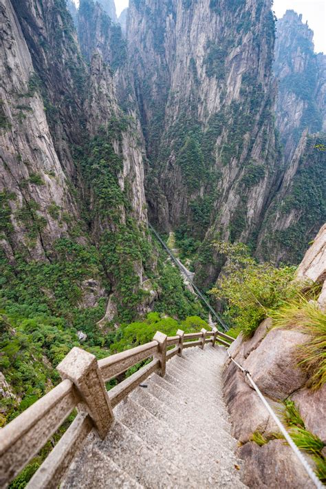 The countries with the largest forest areas in the world | Condé Nast ...