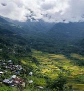 Nagaland 的图像结果