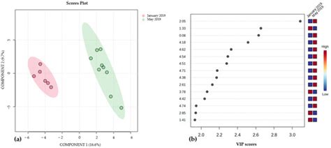 Brown Algae from San Andres Island, Southwest Caribbean: A Nuclear ...