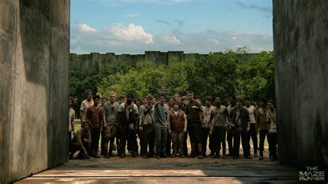 The Maze Runner Set: 50 Things I Learned While In The Glades
