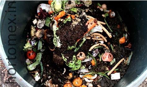 composta-en-bote - Horto Mex