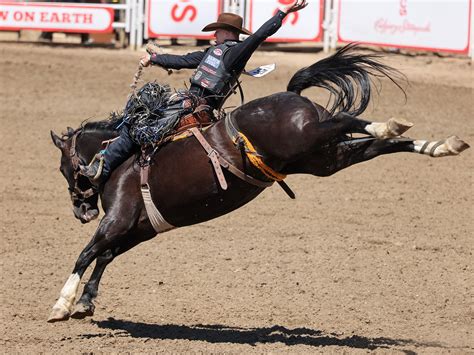 Calgary Rodeo 的图像结果