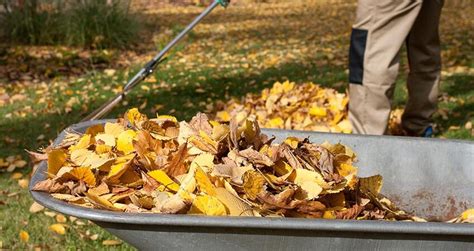 Image result for Spring Lawn Care Tips