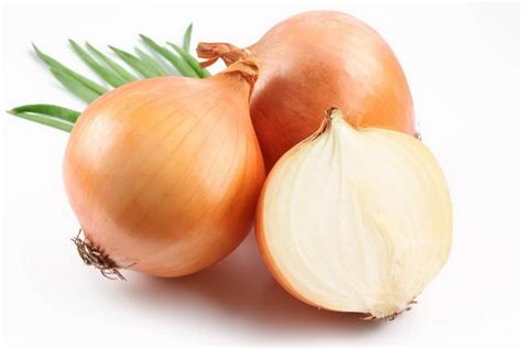 manfaat bawang bombai merah