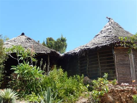 WASINI ISLAND BANDAS - Lodge Reviews, Photos, Rate Comparison - Tripadvisor