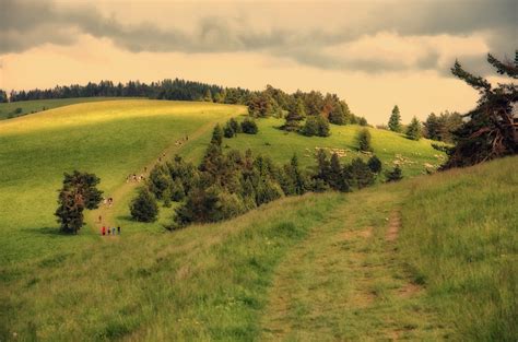 Poland 的图像结果