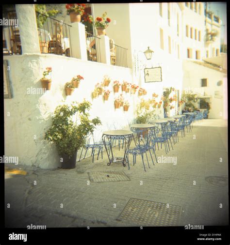 Restaurant Seating Area 的图像结果