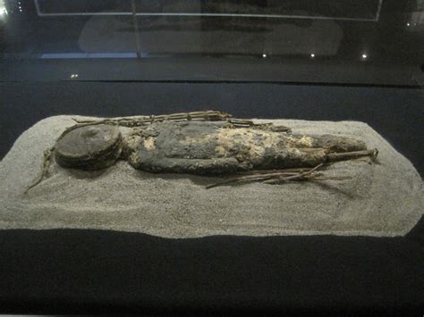 Image result for First Mummification