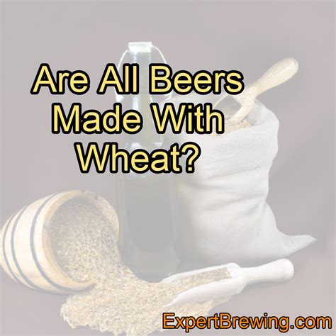 Are All Beers Made With Wheat? – ExpertBrewing.com
