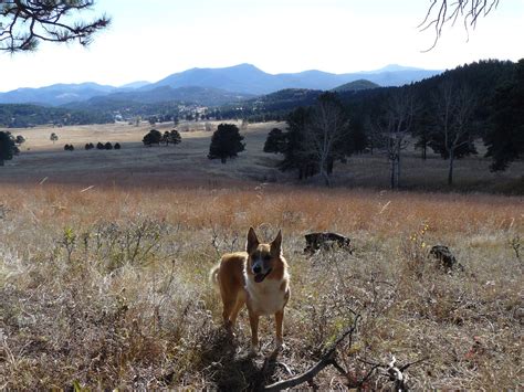 Bergen Peak, Elk Meadow Park, Colorado (11-4-15) – The (Mostly) True ...