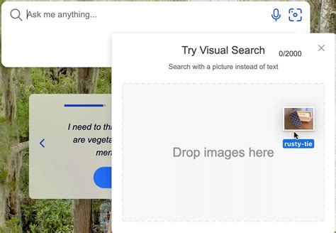 Bing Image Match Search 的图像结果