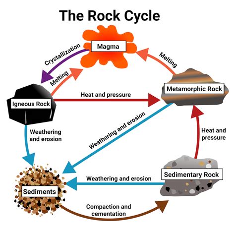Simple Diagram Of A Rock Cycle at Jack Black blog