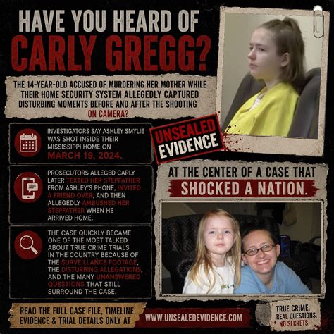 The West Memphis Three — A Comprehensive Legal, Forensic, and ...