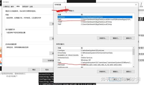 Setting JSON CMake Vscode 的图像结果