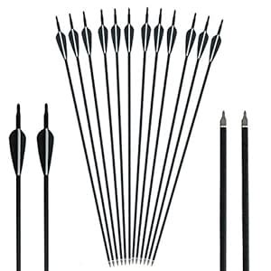 HANDBAIGE 12 Pack Mix Carbon Archery 30/31 Inch Hunting Arrows 100 ...