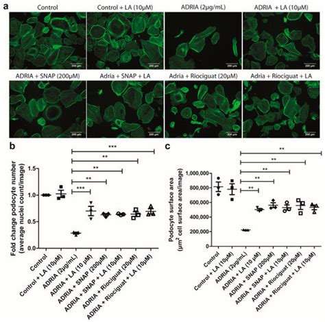 IJMS | Special Issue : Recent Advances in Molecular Mechanisms of ...