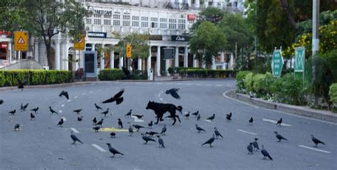 Delhi Breathes Cleanest Air In 5 Years Due To Lockdown & Sitting At ...