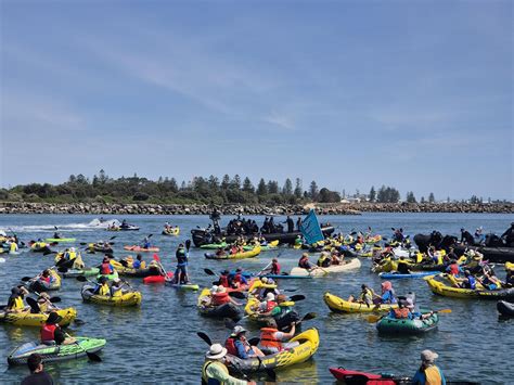 Image result for Fast-Rising Tide