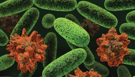 7 Natural Remedies To Treat Staph Infection - lifeberrys.com