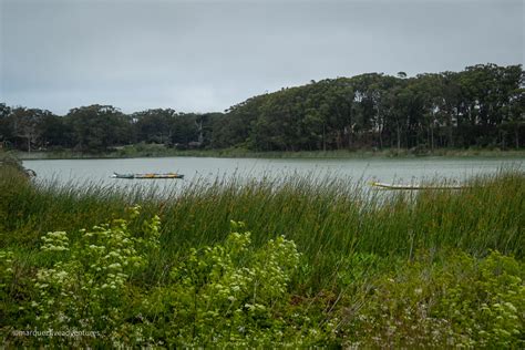 San-Francisco-Lake-Merced-Boats | Marquez Five Adventures