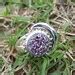 Buy Druzy Gemstone Ring Sterling Silver Half Moon Ring Statement Ring ...