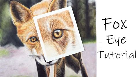 Image result for Fox Eye Tutorial